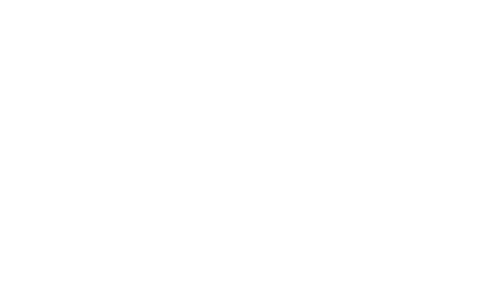 GSi
